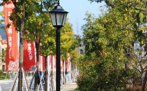 装聂荣庭院灯避坑指南：庭院路灯防雷接地要点